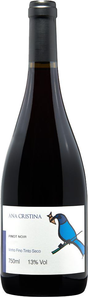 Conheça os 15 melhores pinot noir a partir de R$ 40 Conheça os 15 melhores pinot noir a partir de R$ 40