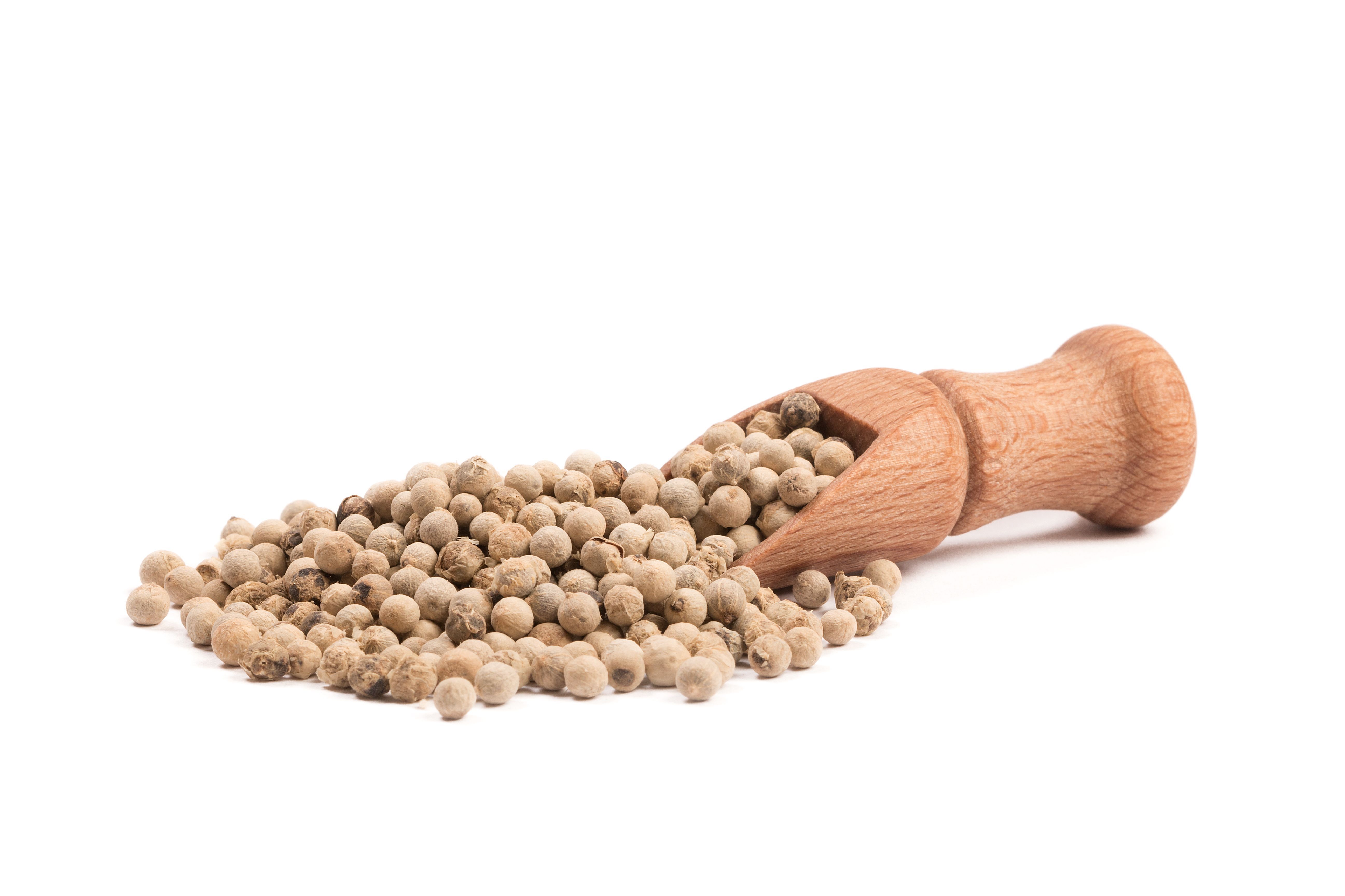 White pepper isolated on a white background, white peppercorn White pepper isolated on a white background, white peppercorn