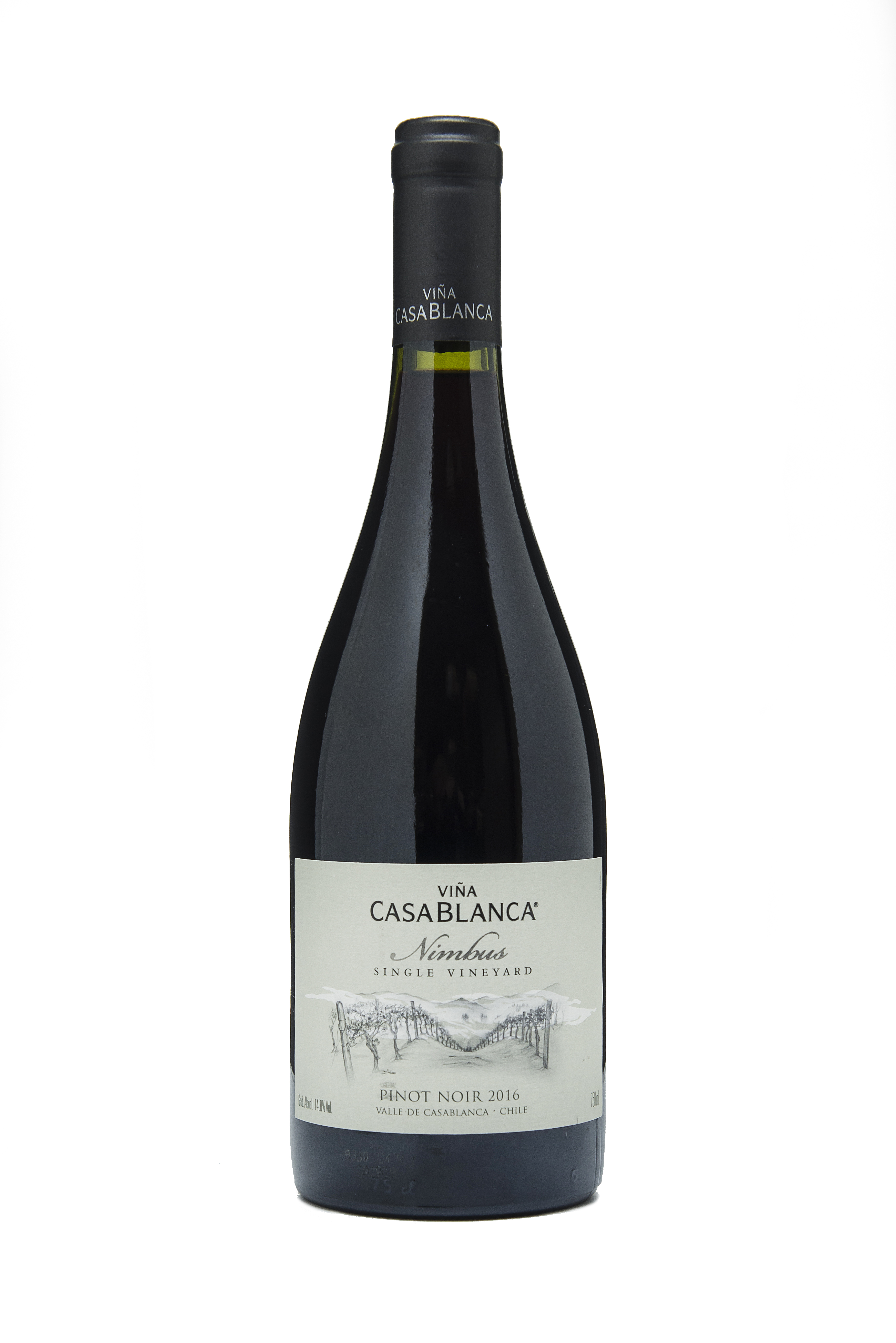 Conheça os 15 melhores pinot noir a partir de R$ 40 Conheça os 15 melhores pinot noir a partir de R$ 40