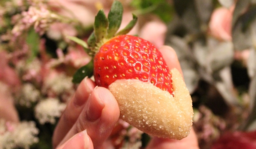 Morango cristal, docinho vegano da Lola Li. Foto: divulgação. Morango cristal, docinho vegano da Lola Li. Foto: divulgação.