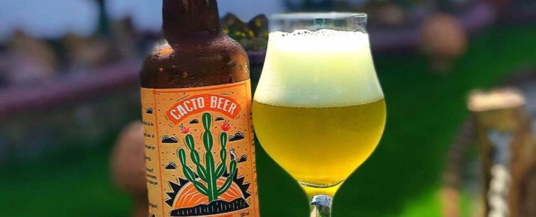 Cerveja de cacto. Foto: André Silva/divulgação.