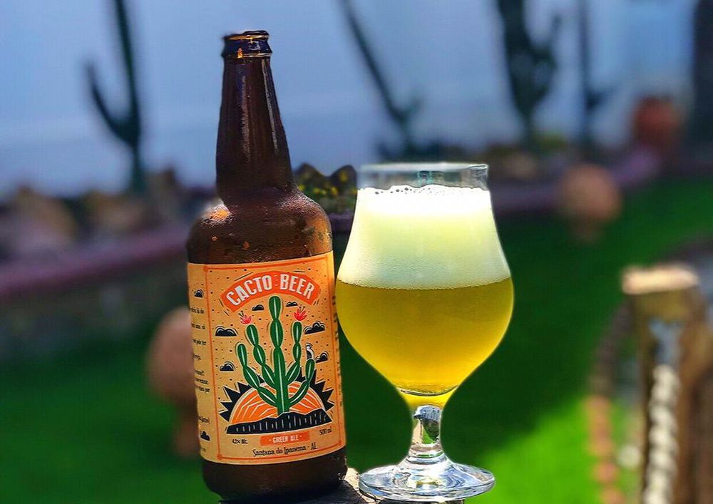 A cerveja é feita com o cacto da espécie Mandacaru, e gera uma bebida de 4,2% de teor alcoólico. Foto: André Silva/divulgação. A cerveja é feita com o cacto da espécie Mandacaru, e gera uma bebida de 4,2% de teor alcoólico. Foto: André Silva/divulgação.