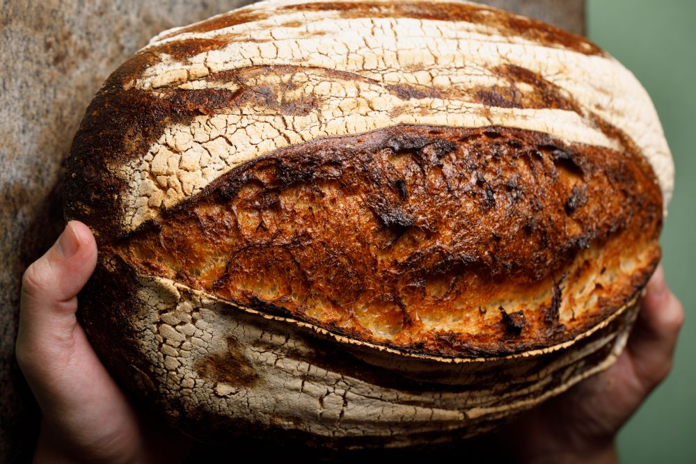 Pelo chef Cesar Costa, o trigo orgânico do Paraná ganhou as cozinhas de chefs e padeiros afora. Na foto, pão de fermentação natural de seu restaurante, o Corrutela, em São Paulo. Foto: Divulgação Pelo chef Cesar Costa, o trigo orgânico do Paraná ganhou as cozinhas de chefs e padeiros afora. Na foto, pão de fermentação natural de seu restaurante, o Corrutela, em São Paulo. Foto: Divulgação