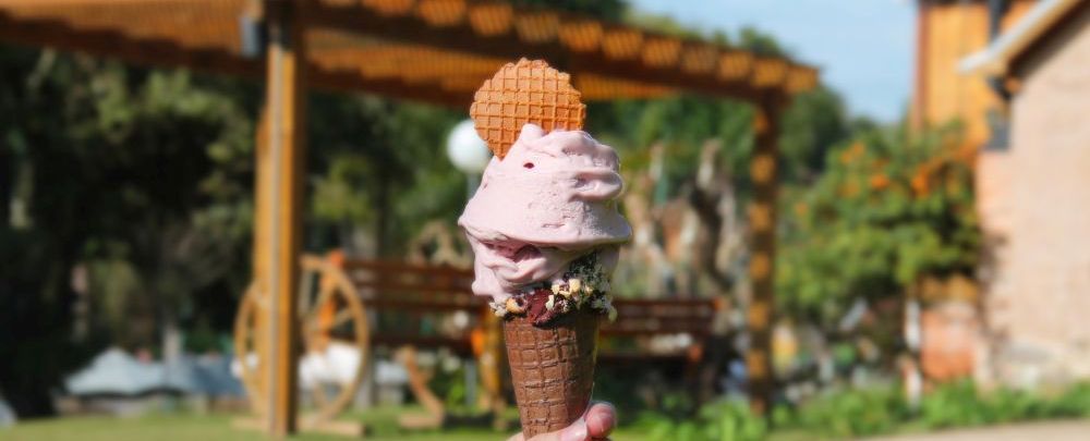 Sorvete de vinho da Casa Valduga. Foto: divulgação.