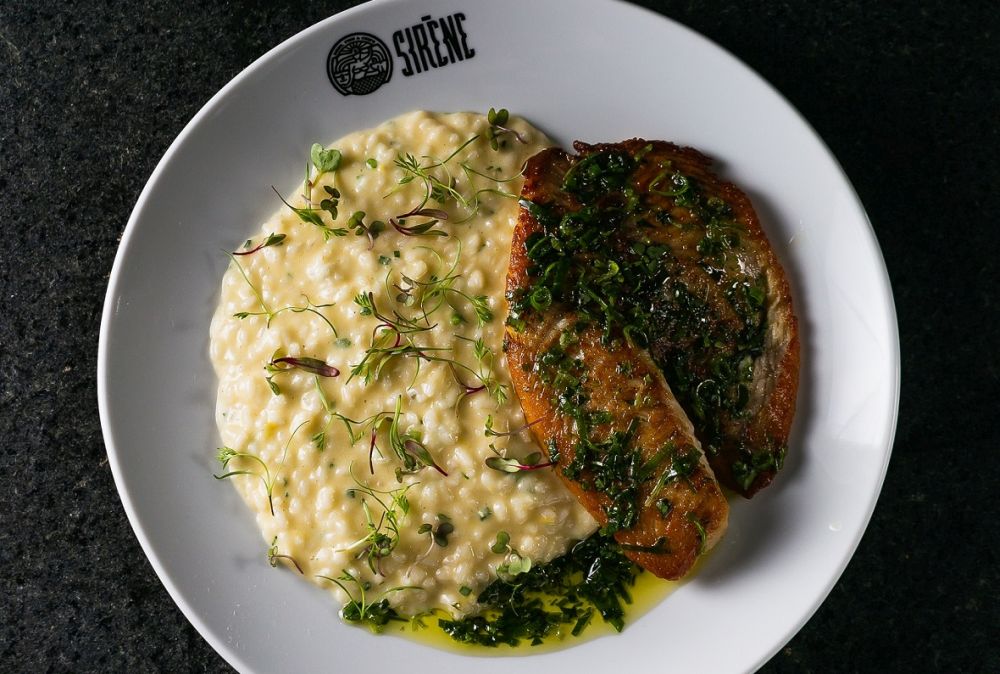O risoto de limão siciliano com filé de tilápia é um dos pratos em teste para outras unidades do Siréne. Foto: Gero Hofmann/divulgação.