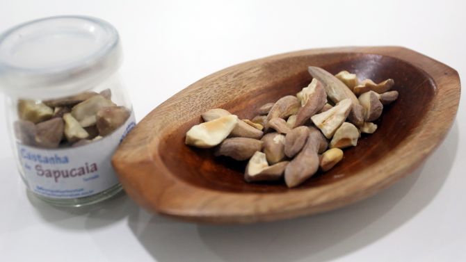 Mais adocicada e alongada que a castanha-do-pará, a castanha de sapucaia ainda está ganhando espaço na gastronomia fora das comunidades rurais. Foto: Divulgação Ana Nascimento / SFB Mais adocicada e alongada que a castanha-do-pará, a castanha de sapucaia ainda está ganhando espaço na gastronomia fora das comunidades rurais. Foto: Divulgação Ana Nascimento / SFB