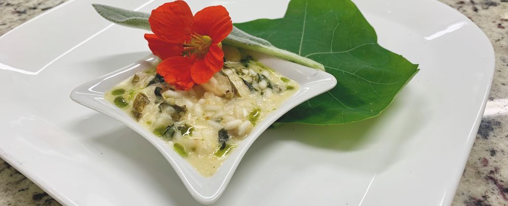Com risoto de PANC, restaurante vence O Quilo é Nosso em disputa acirrada Prato vencedor - risoto de PANCs do Quintana Gastronomia. Foto: Guilherme Grandi/Gazeta do Povo.