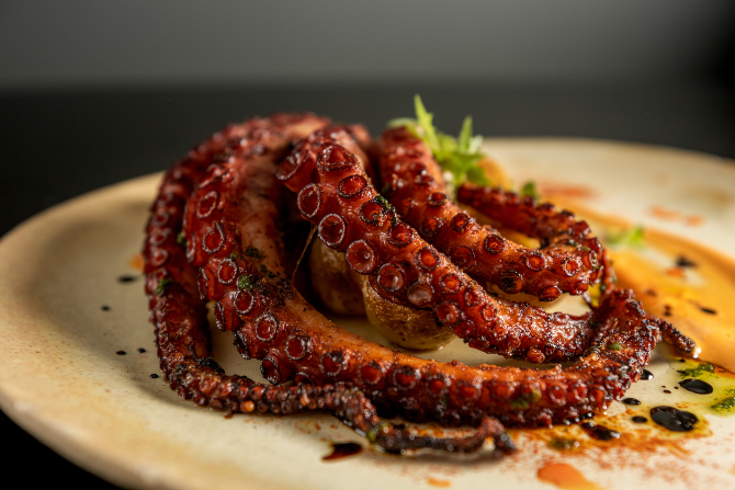 Confira onde encontrar receitas com polvo o ano todo em Curitiba. Foto: Rubens Kato Confira onde encontrar receitas com polvo o ano todo em Curitiba. Foto: Rubens Kato