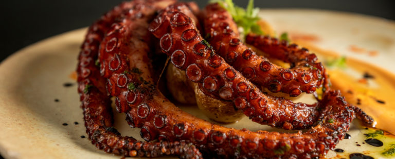 Confira onde encontrar receitas com polvo o ano todo em Curitiba. Foto: Rubens Kato