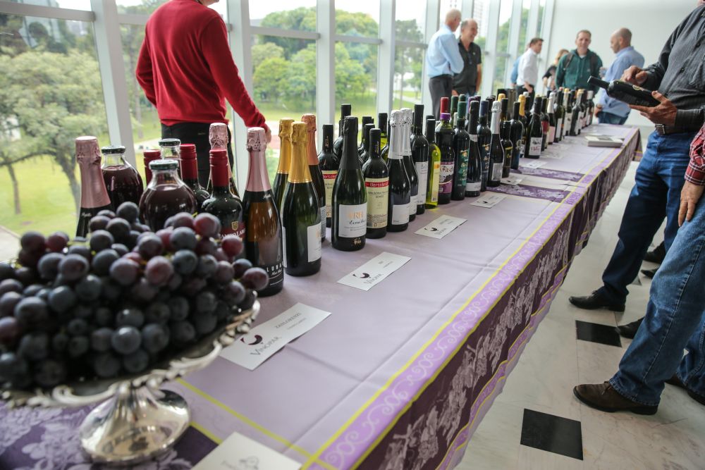A expectativa é que o aumento de produção de uvas resulte em maior produção de vinhos no Paraná. Foto: Geraldo Bubniak/Agência Estadual de Notícias A expectativa é que o aumento de produção de uvas resulte em maior produção de vinhos no Paraná. Foto: Geraldo Bubniak/Agência Estadual de Notícias