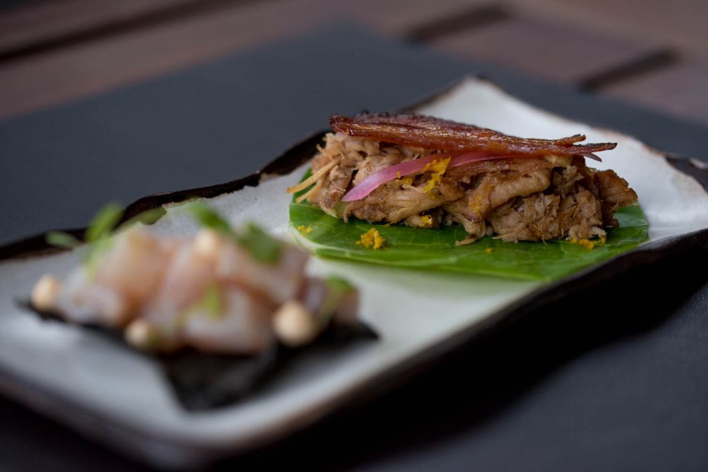 Porquinho na couve e Nori crocante com peixe cru e maionese de limão do chef Lênin Palhano. Foto: Divulgação Porquinho na couve e Nori crocante com peixe cru e maionese de limão do chef Lênin Palhano. Foto: Divulgação