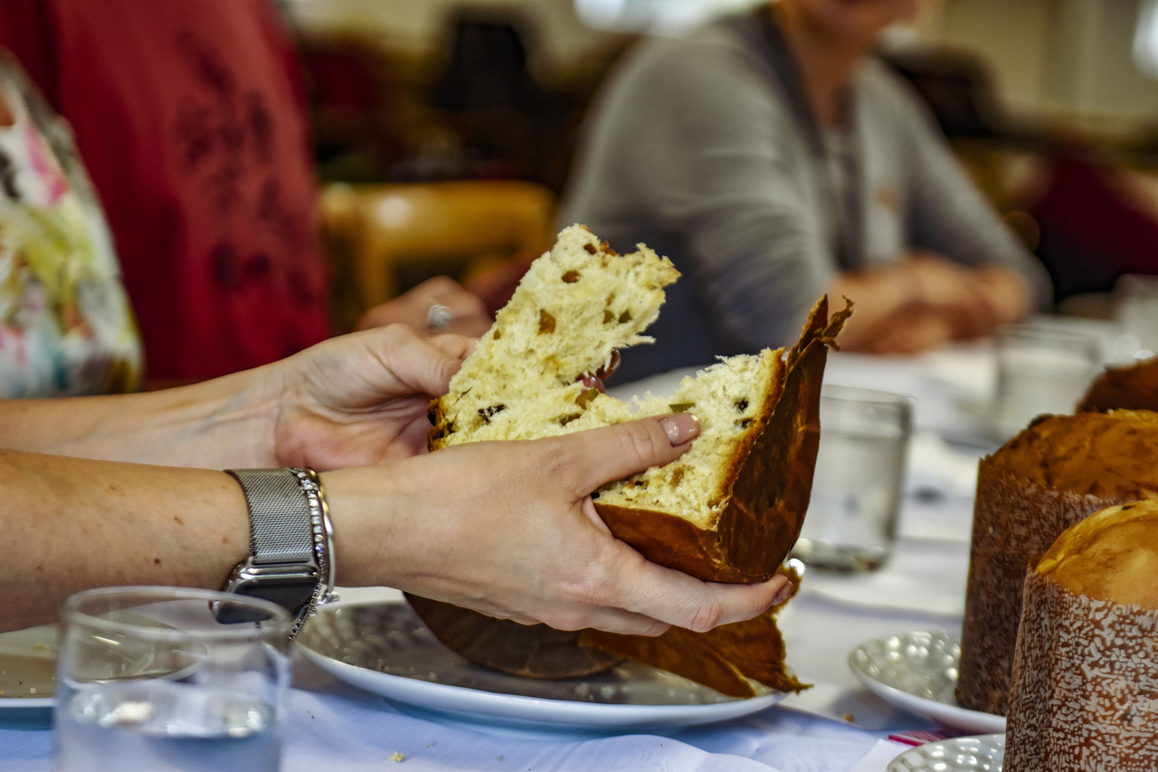 Um teste para saber se a fermentação formou uma boa rede de glúten é rasgar o panetone. Ele deve apresentar resistência, rasgando e não quebrando. Foto: Nay Klym/Gazeta do Povo Um teste para saber se a fermentação formou uma boa rede de glúten é rasgar o panetone. Ele deve apresentar resistência, rasgando e não quebrando. Foto: Nay Klym/Gazeta do Povo