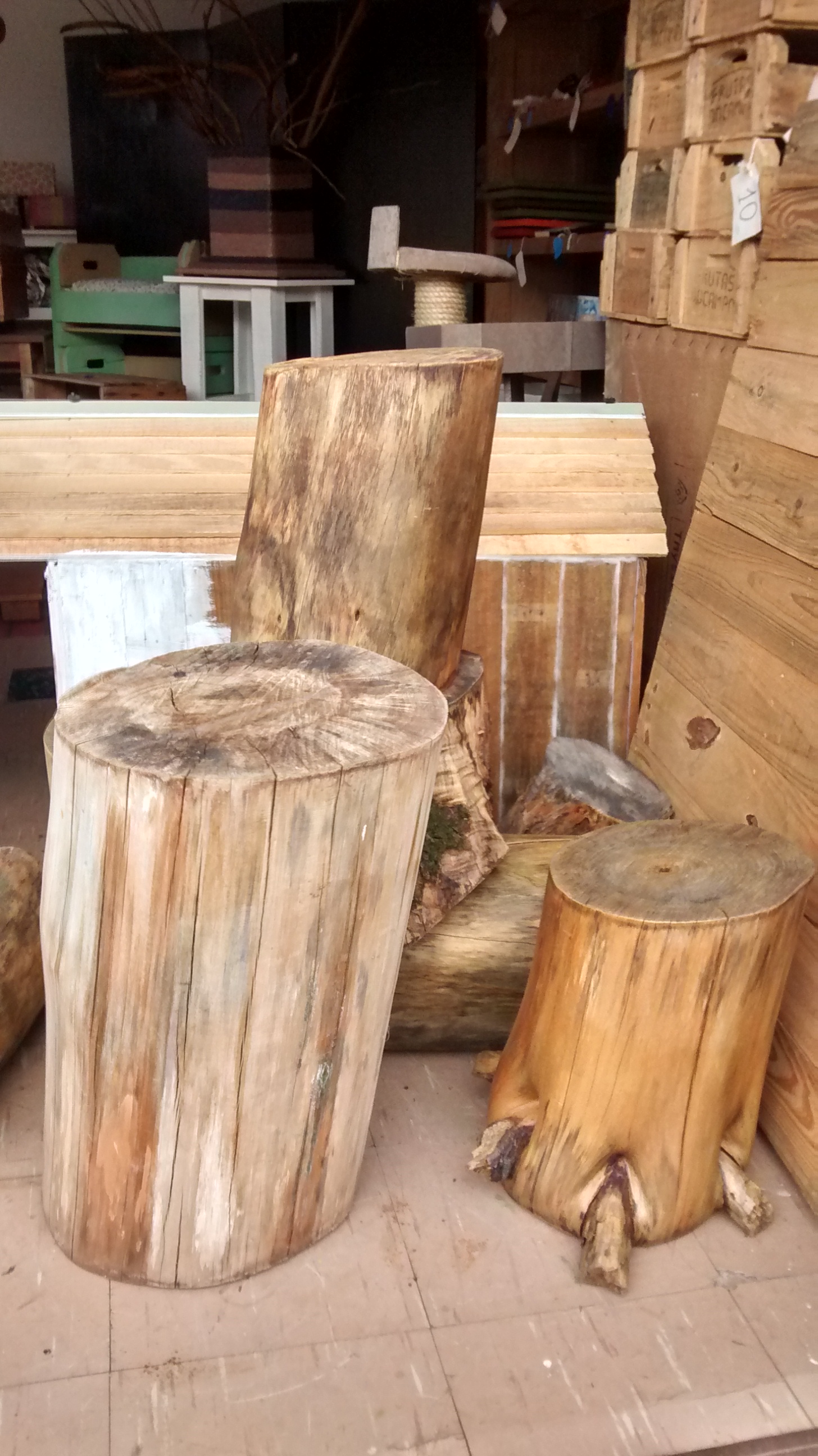 Troncos tratados em diversos tamanhos e formatos, que podem virar banquinhos e outros objetos de decoração. Custam entre R$ 30 e R$ 50. Troncos tratados em diversos tamanhos e formatos, que podem virar banquinhos e outros objetos de decoração. Custam entre R$ 30 e R$ 50.