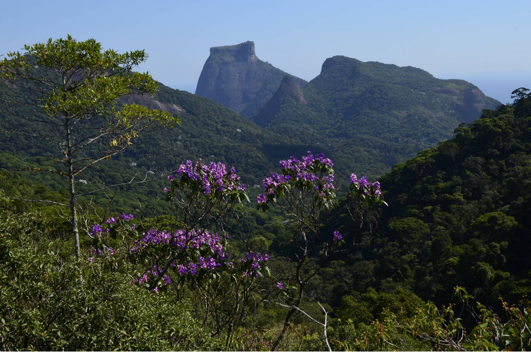 Foto: Peterson de Almeida/Divulgação