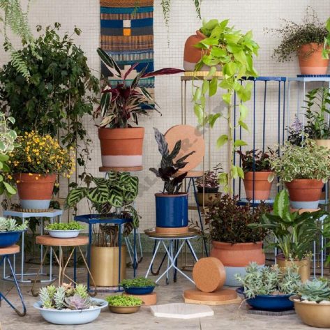 Espaço montado com produtos e plantas da Selvvva, empresa que cria soluções sustentáveis para jardins internos. Espaço montado com produtos e plantas da Selvvva, empresa que cria soluções sustentáveis para jardins internos.