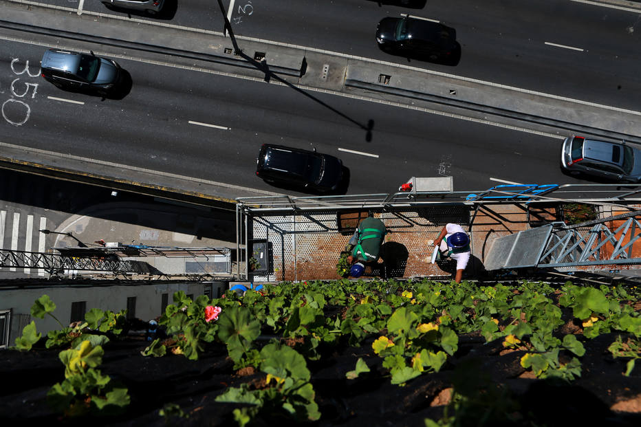 Finalização do primeiro jardim elevado da região central de São Paulo. Fotos: Regatec/Divulgação