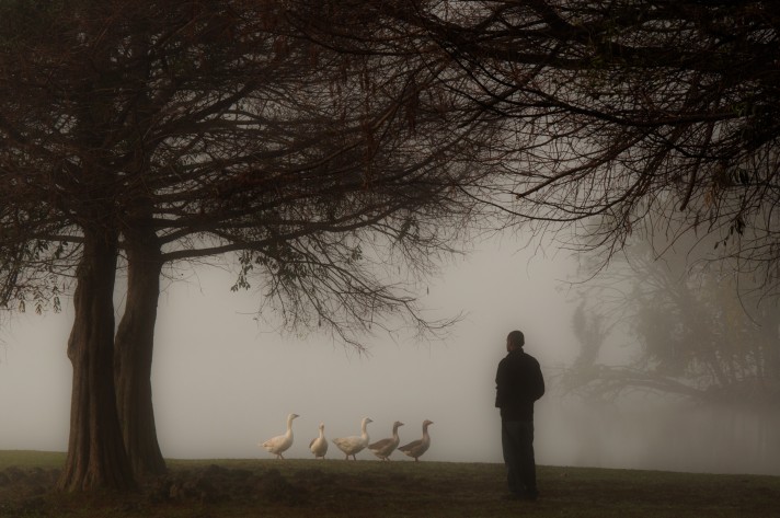 Foto de Washington Takeuchi para a exposição “Será que vai dar parque?” 