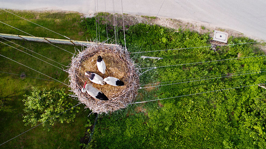 Fotografia de Maringá está entre as 10 melhores tiradas com drone em 2015 Fotografia de Maringá está entre as 10 melhores tiradas com drone em 2015