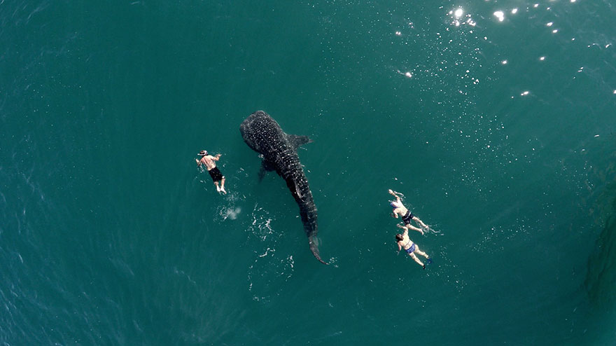 Fotografia de Maringá está entre as 10 melhores tiradas com drone em 2015 Fotografia de Maringá está entre as 10 melhores tiradas com drone em 2015