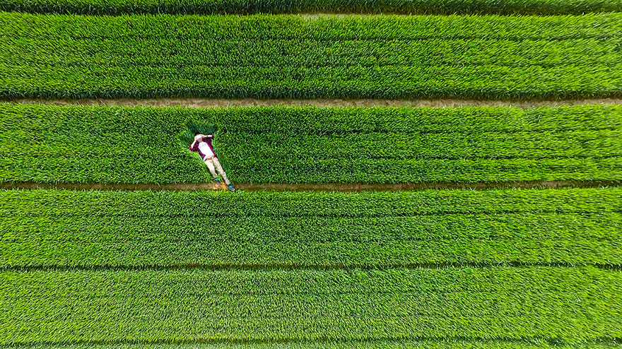Fotografia de Maringá está entre as 10 melhores tiradas com drone em 2015 Fotografia de Maringá está entre as 10 melhores tiradas com drone em 2015