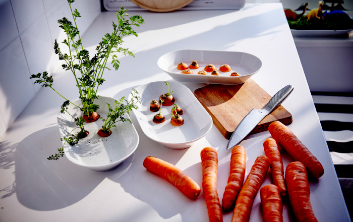 Utilize pedaços de legumes que poderiam ser descartados para novas folhas e mudas. Fotos: Mats Ekdahl/ Ikea/ Divulgação