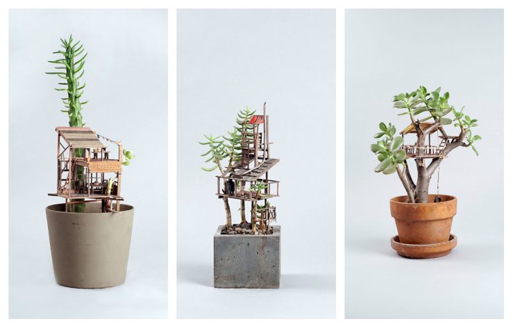 Fotos: Jedediah Corwyn Voltz/ Divulgação