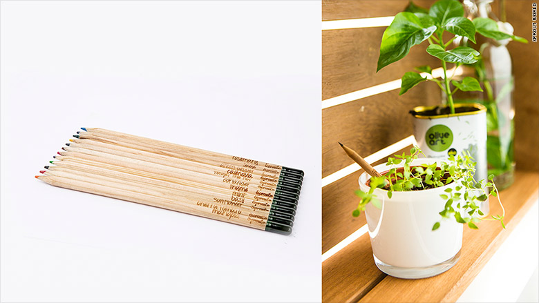 Conheça o lápis plantável que se transforma na flor de sua preferência Conheça o lápis plantável que se transforma na flor de sua preferência