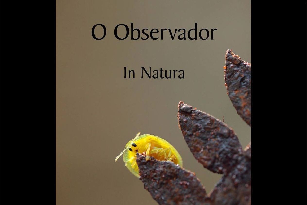 Livro será lançado na loja do MON na próxima quinta-feira (01). A foto que ilustra a capa é de Rubens Nemitz Jr. 