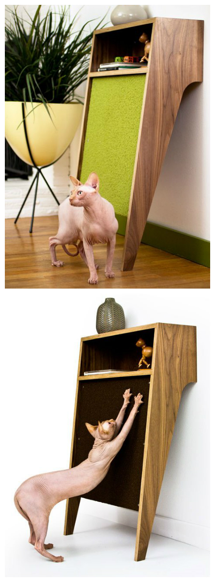Foto: Modernist Cat/Reprodução Foto: Modernist Cat/Reprodução