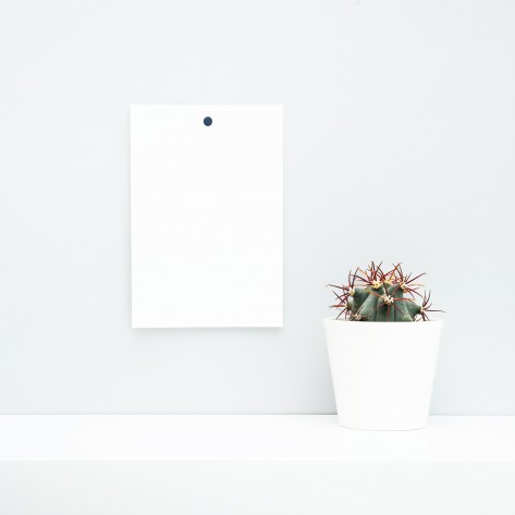 Cactos podem dar graça para um cantinho especial da casa. Foto: Bigstock. Cactos podem dar graça para um cantinho especial da casa. Foto: Bigstock.