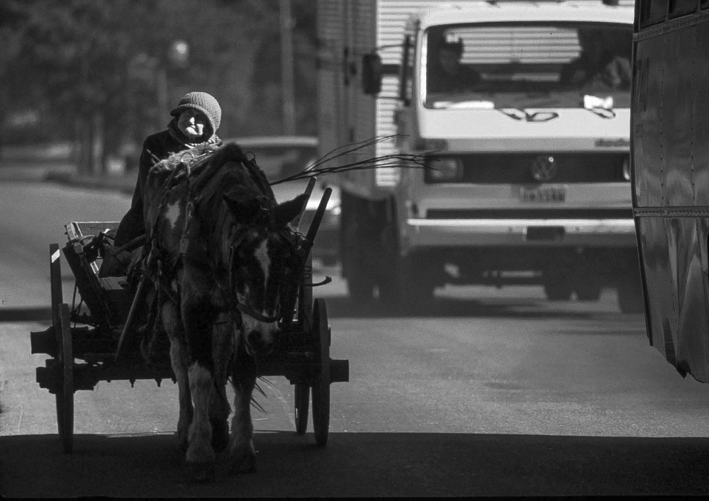 Dona Hermínia desafiava o trânsito da Av. Manoel Ribas, sempre na companhia de seu cavalo. Fotos: Joel Rocha/Divulgação Dona Hermínia desafiava o trânsito da Av. Manoel Ribas, sempre na companhia de seu cavalo. Fotos: Joel Rocha/Divulgação