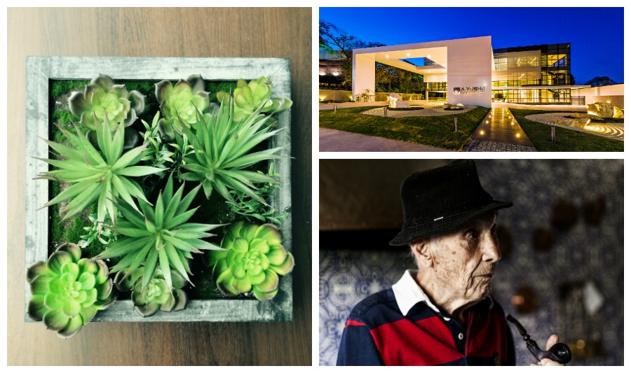 Fotos: Pixabay, Central Press/Divulgação e André Rodrigues/Gazeta do Povo