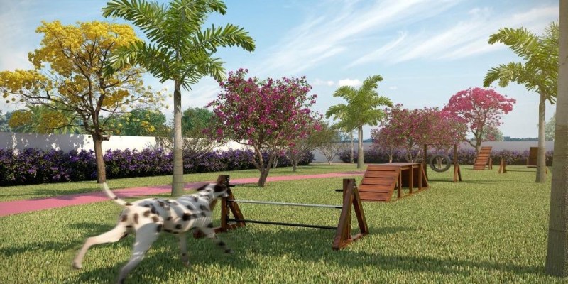 Espaço pet em prédios viabiliza economia para os moradores Espaço pet em prédios viabiliza economia para os moradores