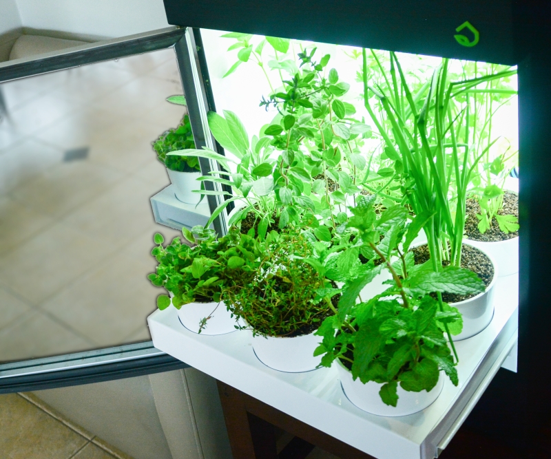 Eletrodoméstico permite cultivo de horta dentro de casa Eletrodoméstico permite cultivo de horta dentro de casa