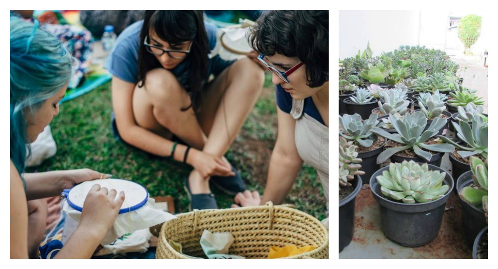 Fotos: Bruno Milczewski e Reprodução Facebook