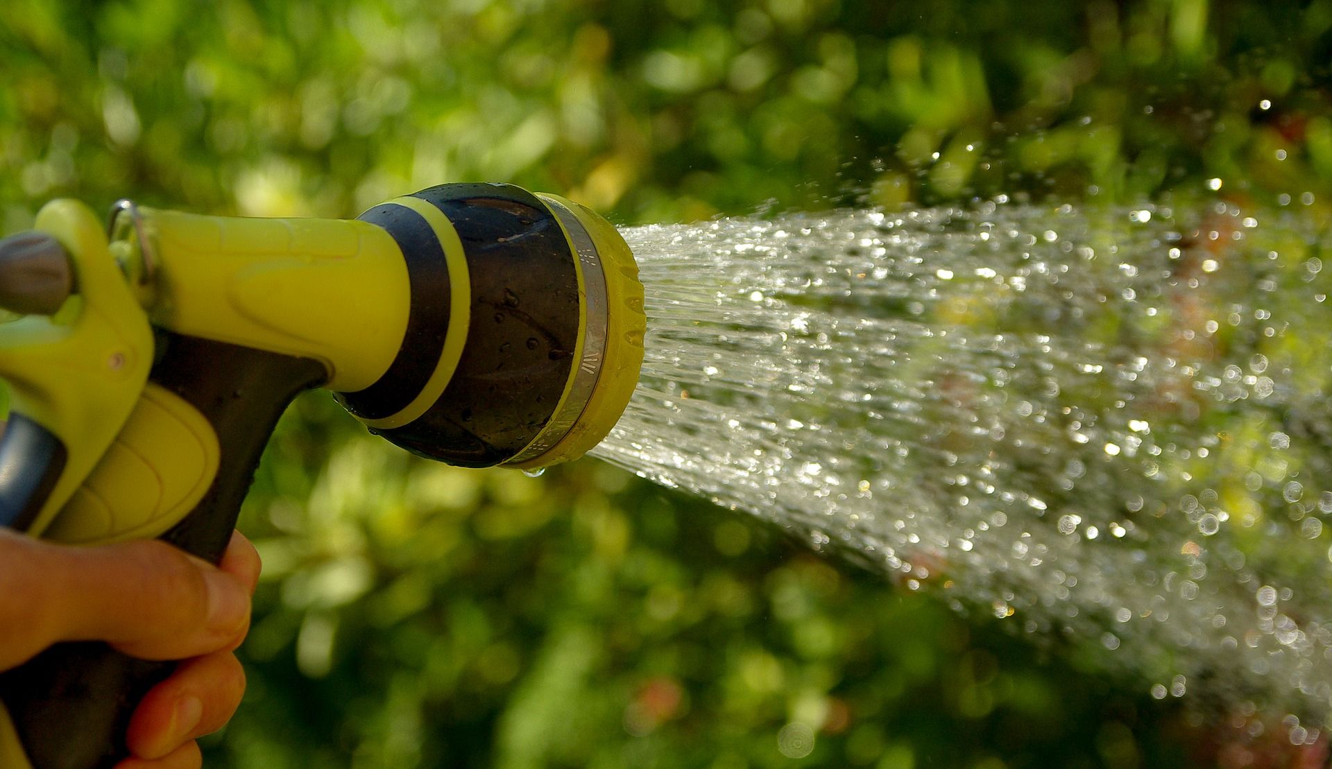 Aprenda a cuidar do seu jardim para a chegada do inverno Aprenda a cuidar do seu jardim para a chegada do inverno