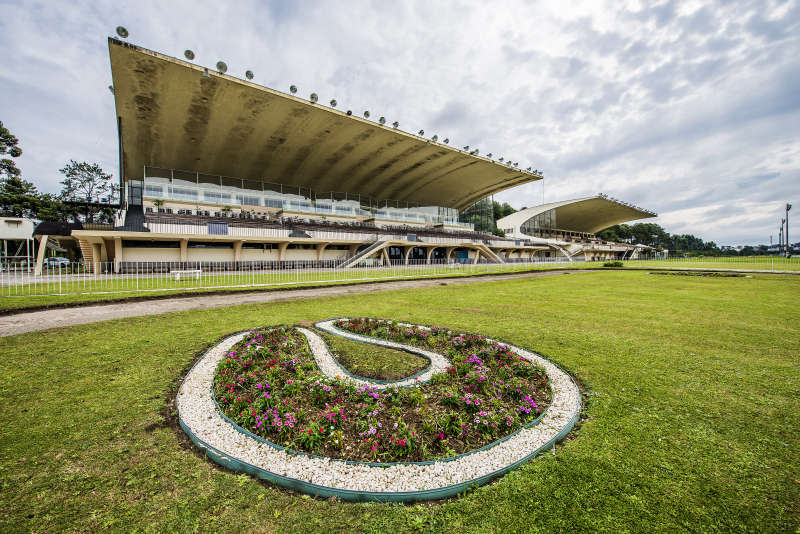As marcas do Jockey Club pelos imóveis históricos que ocupou em Curitiba Fotos: Letícia Akemi/Gazeta do Povo