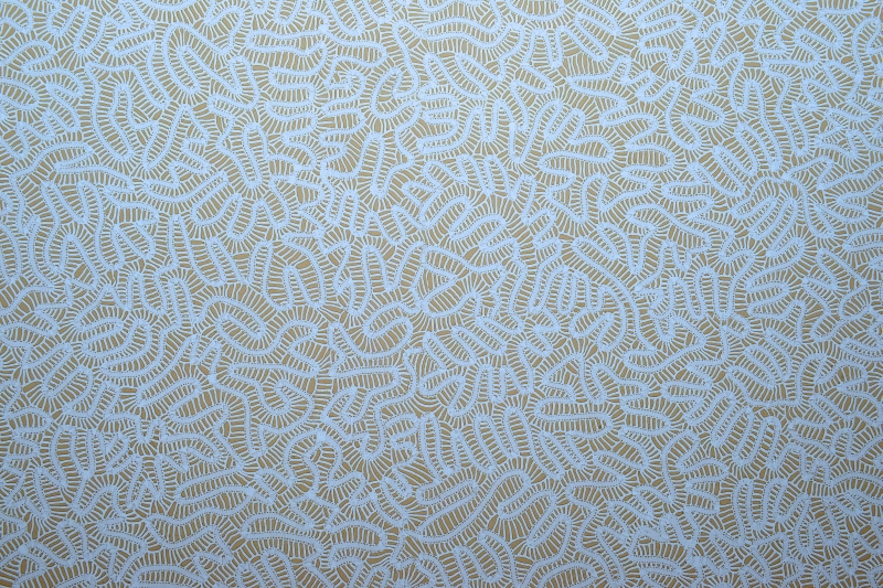 Uma das linhas assinadas pela estilista alagoana Martha Medeiros é inspirada nas formas orgânicas do sertão. Foto: Gerson Lima/Divulgação