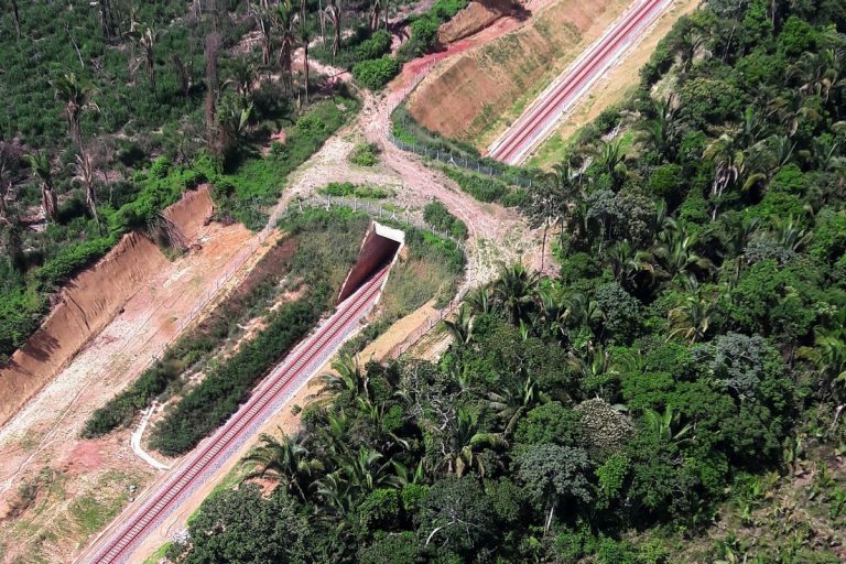 Instalado no Pará, o primeiro viaduto de fauna do Brasil vai contribuir para a redução dos atropelamentos de animais silvestres e ainda para a recuperação da vegetação nativa à beira da ferrovia. Foto: Ibama/Divulgação