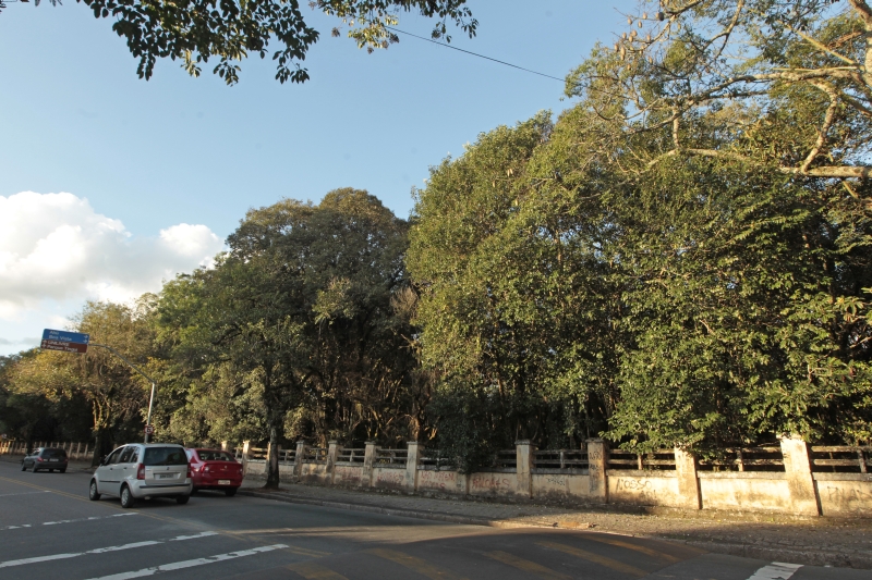 Greca estava em negociação com a Federação Espírita Paranaense para abrigar memorial no Bosque Bom Retiro. Foto: André Rodrigues/Gazeta do Povo Greca estava em negociação com a Federação Espírita Paranaense para abrigar memorial no Bosque Bom Retiro. Foto: André Rodrigues/Gazeta do Povo