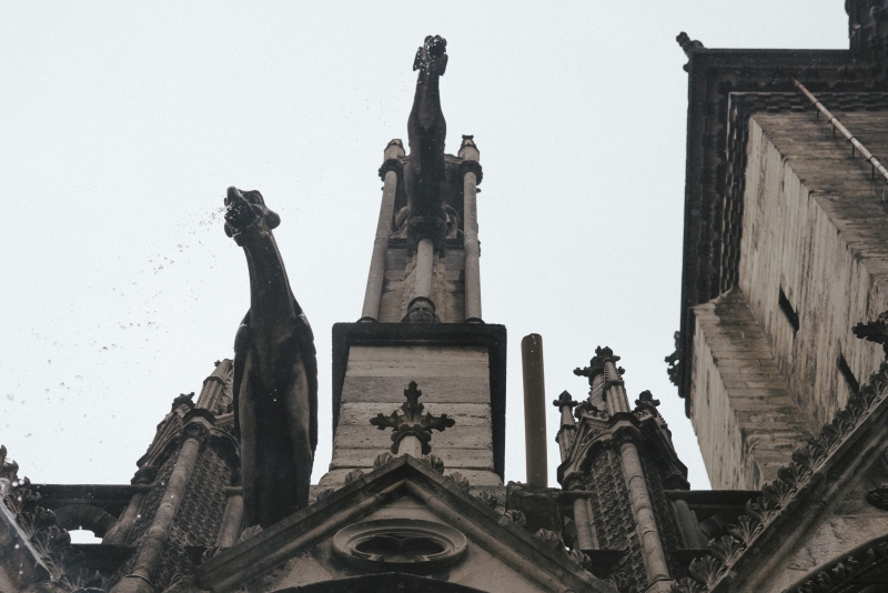 Plastic piping replaces a fallen gargoyle on the Notre Dame Cathedral in Paris, Sept. 19, 2017. Rain, wind and pollution have battered the cathedral, which is seeking funds in France and in the United States to help pay for extensive renovations. (Dmitry Kostyukov/The New York Times) Plastic piping replaces a fallen gargoyle on the Notre Dame Cathedral in Paris, Sept. 19, 2017. Rain, wind and pollution have battered the cathedral, which is seeking funds in France and in the United States to help pay for extensive renovations. (Dmitry Kostyukov/The New York Times)