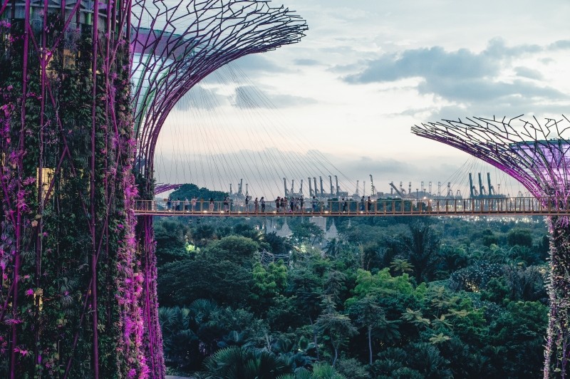Algoritmo encontrou a cidade mais verde do mundo Algoritmo encontrou a cidade mais verde do mundo