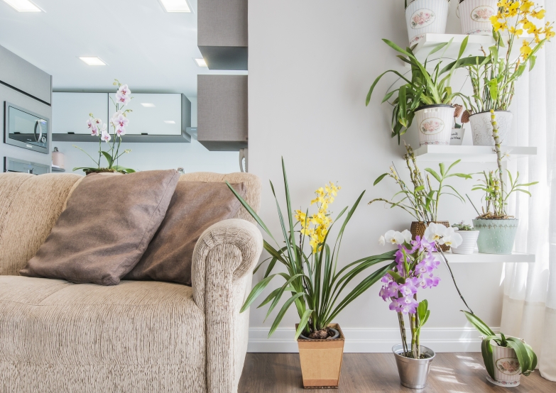 Foto: Letícia Akemi / Gazeta do Povo  