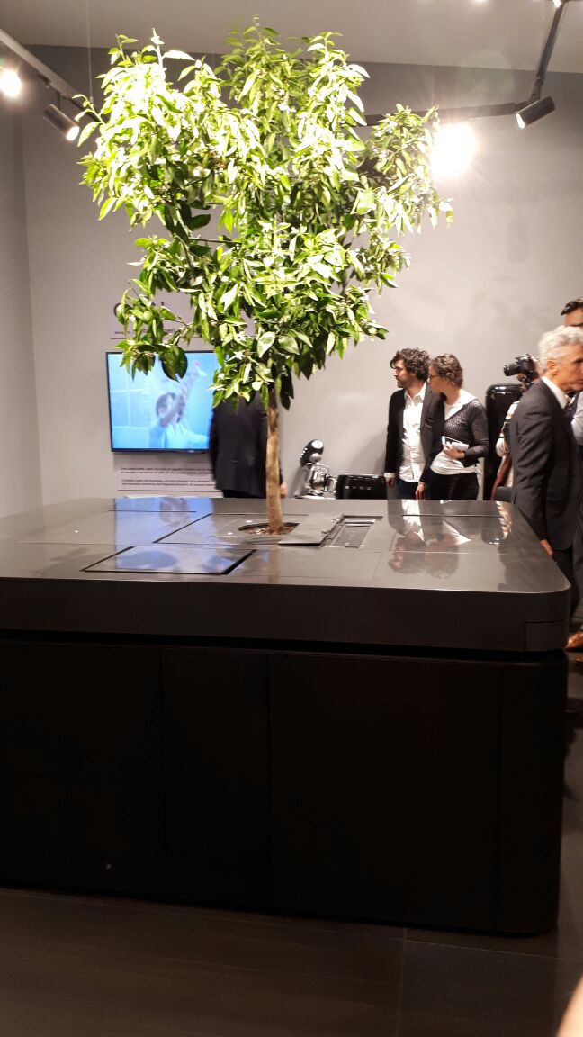Sistema Oasi de Stefano Boeri é um organismo cozinha. Com acabamento em Corian, serve de mesa de jantar e cozinha. Cada parte da mesa dá vida a uma parte funcional, como forno, cuba e lixeira. Sistema Oasi de Stefano Boeri é um organismo cozinha. Com acabamento em Corian, serve de mesa de jantar e cozinha. Cada parte da mesa dá vida a uma parte funcional, como forno, cuba e lixeira.