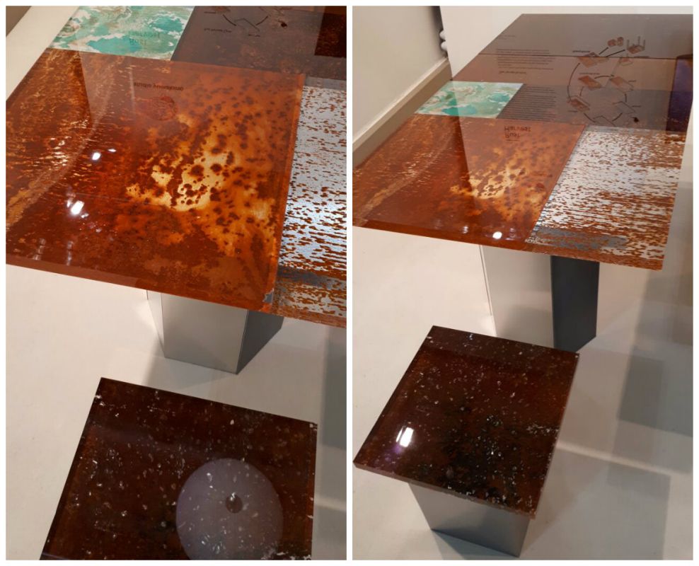 Jovens inovam em feira internacional com móvel feito de açafrão ou em forma de flor Jovens inovam em feira internacional com móvel feito de açafrão ou em forma de flor