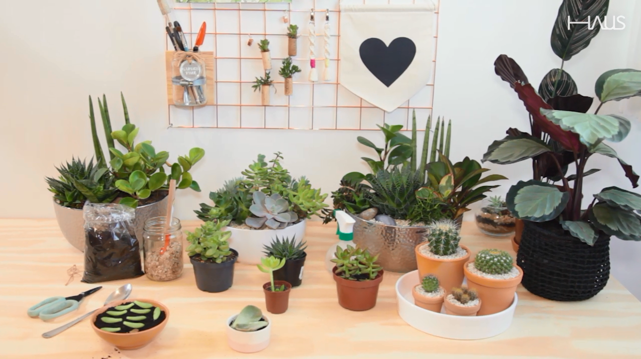 Foto: Bruno Matos/Gazeta do Povo