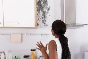 Acabe com o mofo e o bolor de armários e guarda-roupas Acabe com o mofo e o bolor de armários e guarda-roupas