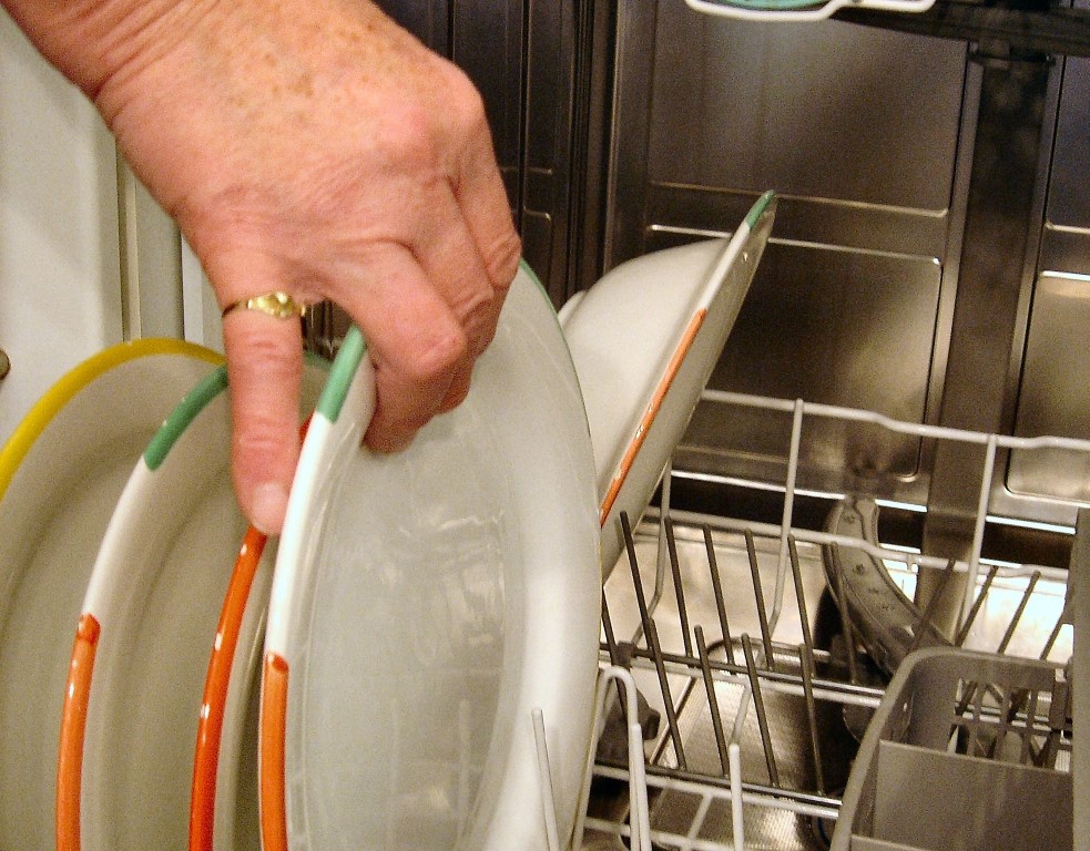 Foto: Pixabay/Reprodução