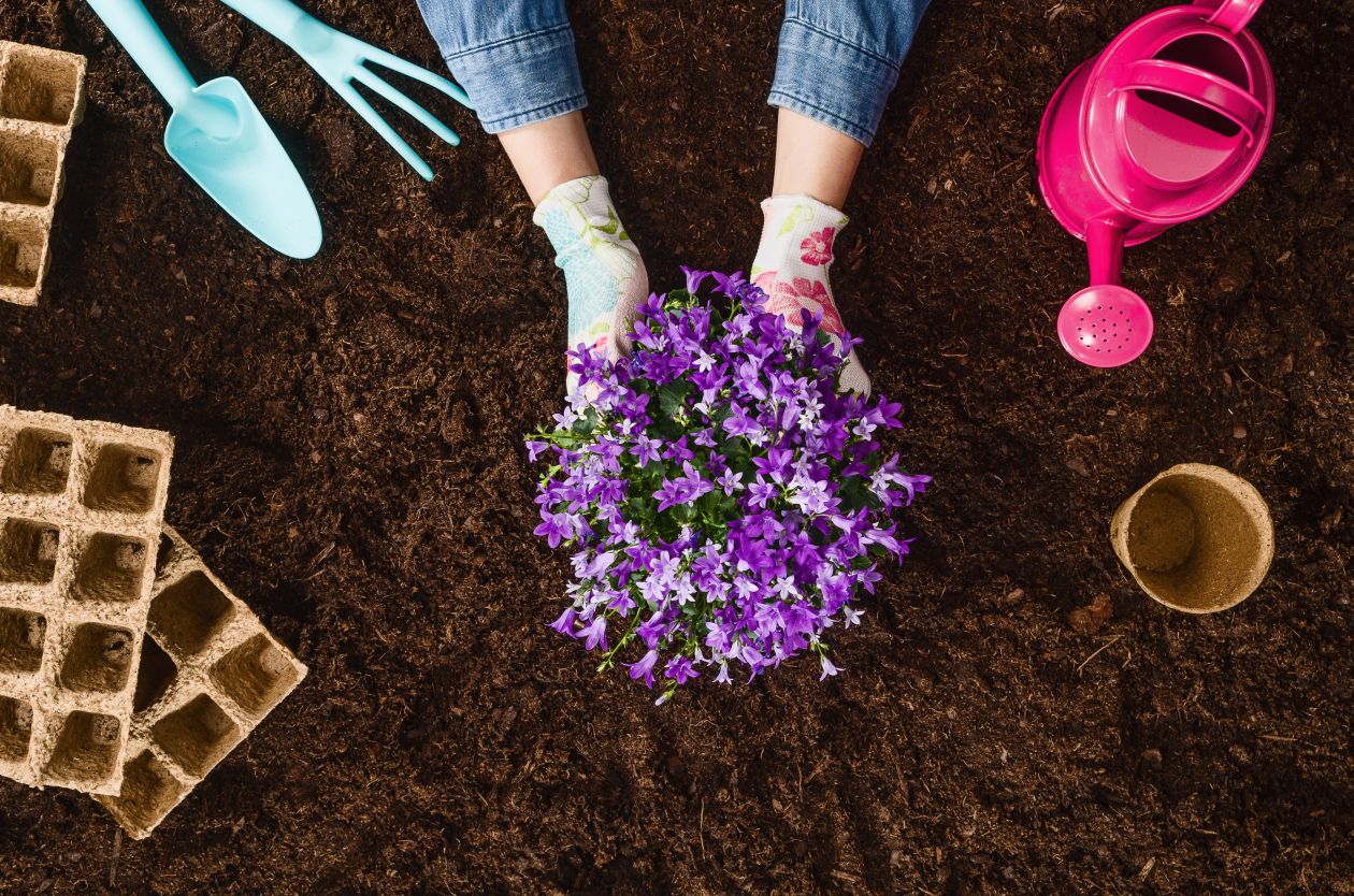 Veja quais produtos você pode usar para fertilizar o adubo em casa. Foto: Bigstock