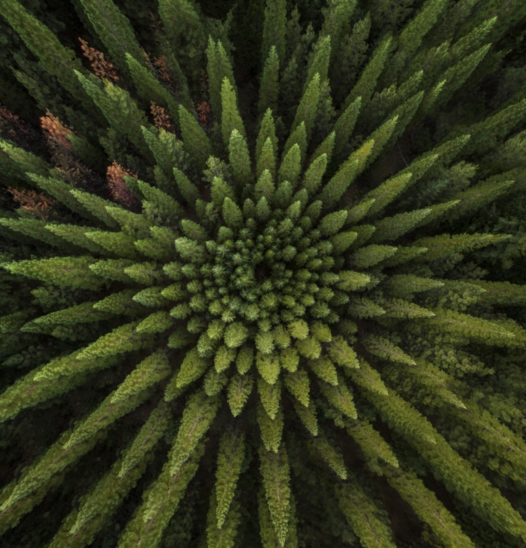Nelder Plots, por Garret Suhrie, destaque da categoria Natureza Nelder Plots, por Garret Suhrie, destaque da categoria Natureza